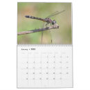Suche nach eier kalender Jede person
