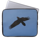 Suche nach corvidae Tierwelt