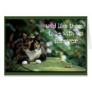 Suche nach schildpatt postkarten Fotografie