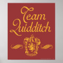 Suche nach quidditch poster Harry potter