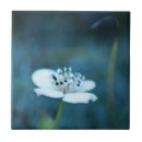 Suche nach erinnerungs fliesen Für sie