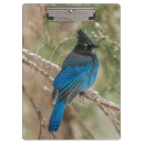 Suche nach vögel klemmbrett Grau