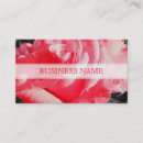 Suche nach romantische rote rose visitenkarten Blumenreich