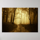 Suche nach dunkler wald poster Herbst