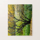 Suche nach birkenbaum puzzle Natur