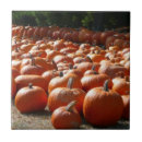 Suche nach patch fliesen Herbst