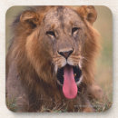 Suche nach löwe untersetzer Vertikal