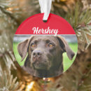 Suche nach labe ornamente Hunde