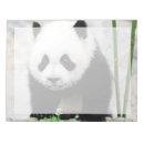 Suche nach niedliche panda notizblock Wildtiere
