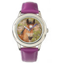 Suche nach fohlen accessoires Tiere