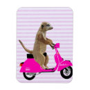 Suche nach moped magnete Tiere