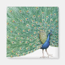 Suche nach vintage vögel magnete Hübsch