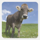 Suche nach ehrfurcht aufkleber Natur
