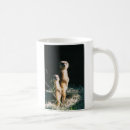Suche nach meerkats tassen Familie