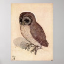 Suche nach kleine eule poster Druck