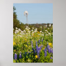 Suche nach windmühle poster Pflanze