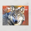 Suche nach wolf foto postkarten Für alle