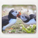 Suche nach papageientaucher mousepads Vögel