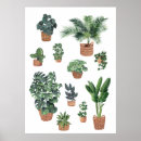 Suche nach pflanze poster Illustration