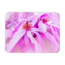 Suche nach hübsche blumen magnete Natur