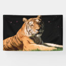 Suche nach tiger banner Für alle