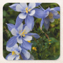 Suche nach columbine untersetzer Blume