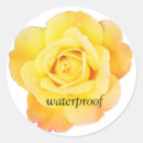 Suche nach wasserdichte aufkleber Jede person