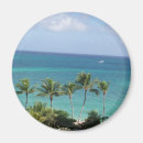 Suche nach palmen magnete Bahamas