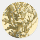 Suche nach riff aufkleber Koralle