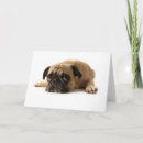 Suche nach traurige augen karten Hund