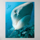 Suche nach fidschi poster Unterwasser
