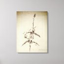 Suche nach prähistorische kunst leinwandbilder Paläontologe