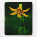 Suche nach pose mousepads Braun