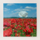 Suche nach rote mohnblumen puzzle Feld