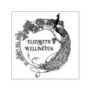 Suche nach pfau teller Vögel