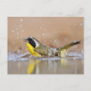 Suche nach lebendes wasser postkarten Im freien