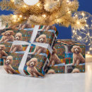 Suche nach pudel geschenkpapier Jede person