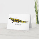 Suche nach salamander karten Jede person