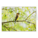 Suche nach waxwing karten Wild