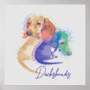 Suche nach dackeln poster Für alle