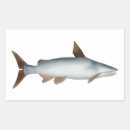 Suche nach wels aufkleber Fisch
