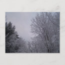 Suche nach winterbäume postkarten Fotografie