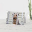 Suche nach doghouse karten Tiere