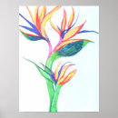 Suche nach bird of paradise poster Flower