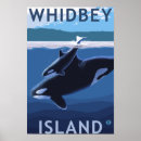 Suche nach kalb poster Orca