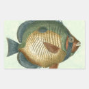 Suche nach fisch aufkleber Meer
