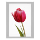 Suche nach heller frühling poster Blumen