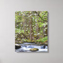 Suche nach tennessee leinwandbilder Wald