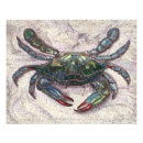 Suche nach blaue krabbe poster Maryland