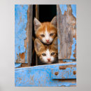 Suche nach vintage katzen poster Niedlich
